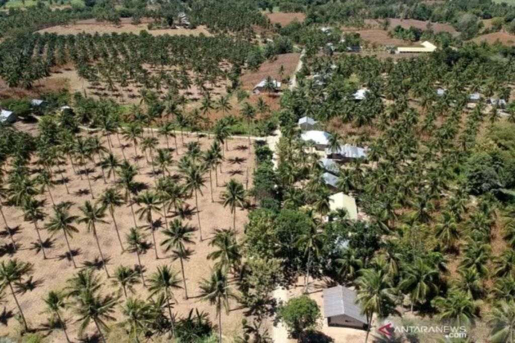 DIY peroleh kuota 16 KK program&nbsp;transmigrasi