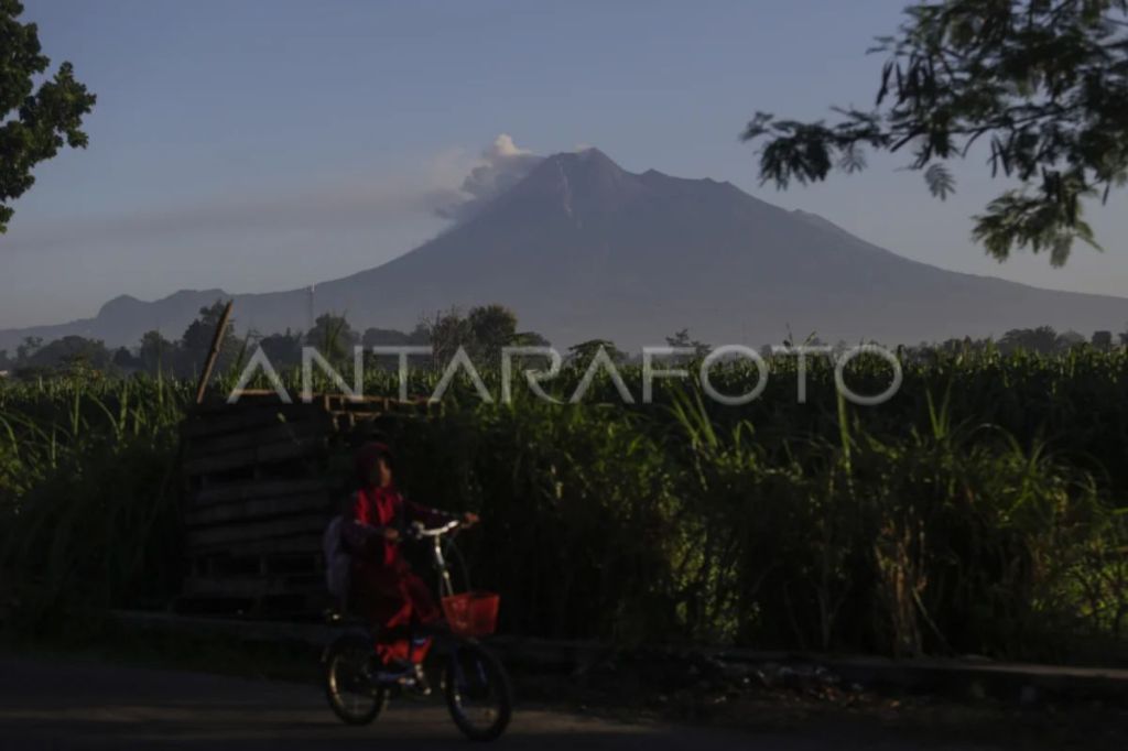Gunung Merapi meluncurkan 132 kali guguran lava dalam&nbsp;sepekan